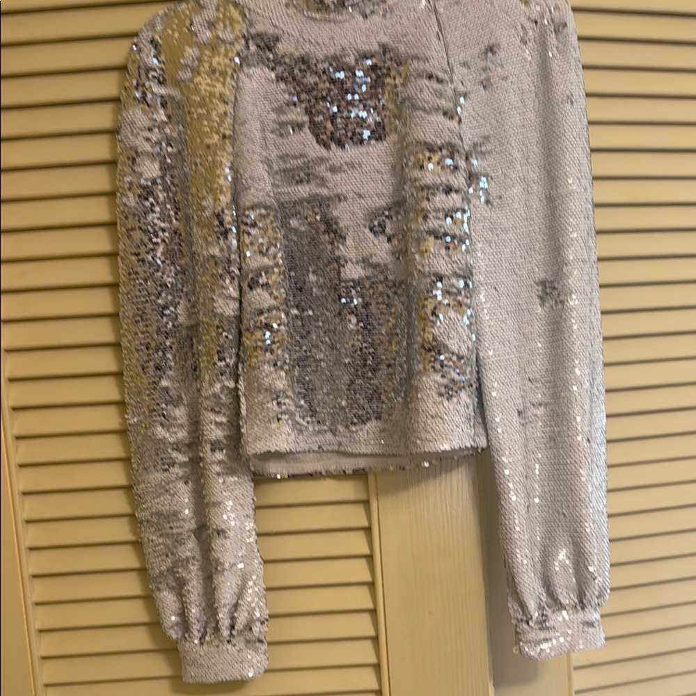 Sequin Long Sleeve Top
